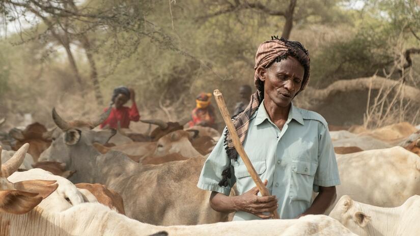 Abdi Buke Tinisa, de la localité de Sericho, dans le comté d'Isiolo, au Kenya, se tient debout avec son bétail restant. Beaucoup ont péri à cause de la sécheresse qui sévit dans le pays.