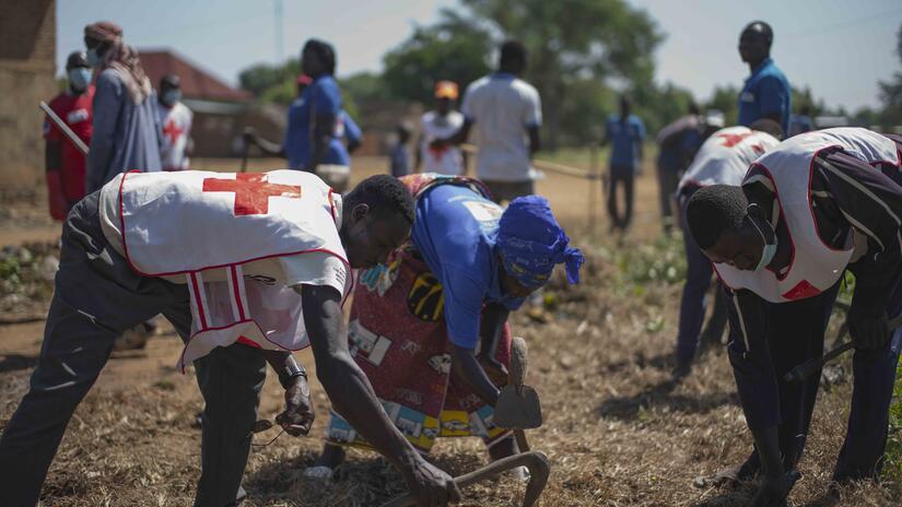 Volunteers with the Chad Red Cross clean a field that has been used by people as a place to go to the bathroom.