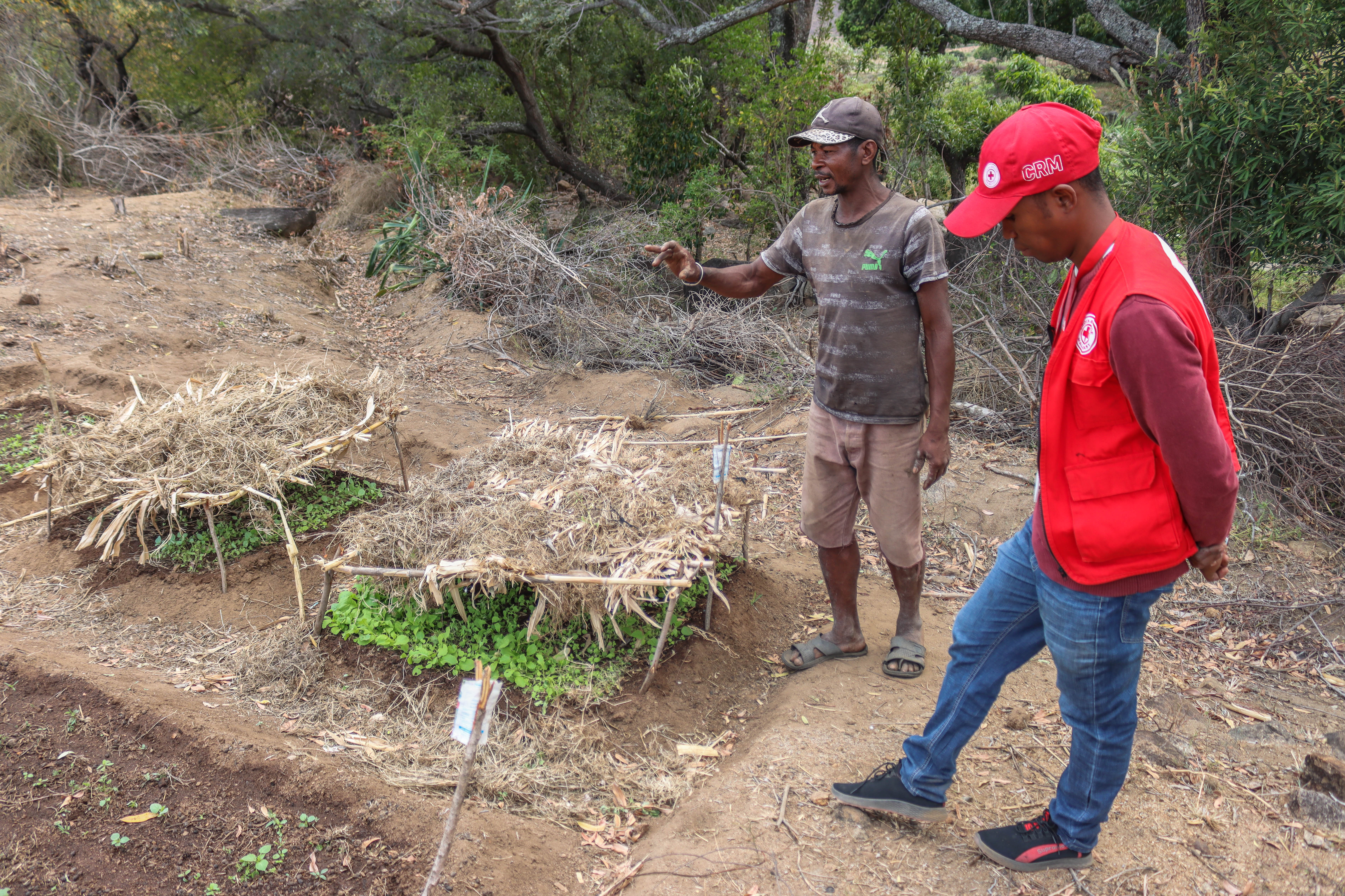 Daniel Aristide is a farmer from Ambatoabo and also one of the volunteers in charge of mobilizing the community around the vegetable gardens and tree nurseries activities implemented by the Malagasy Red Cross.