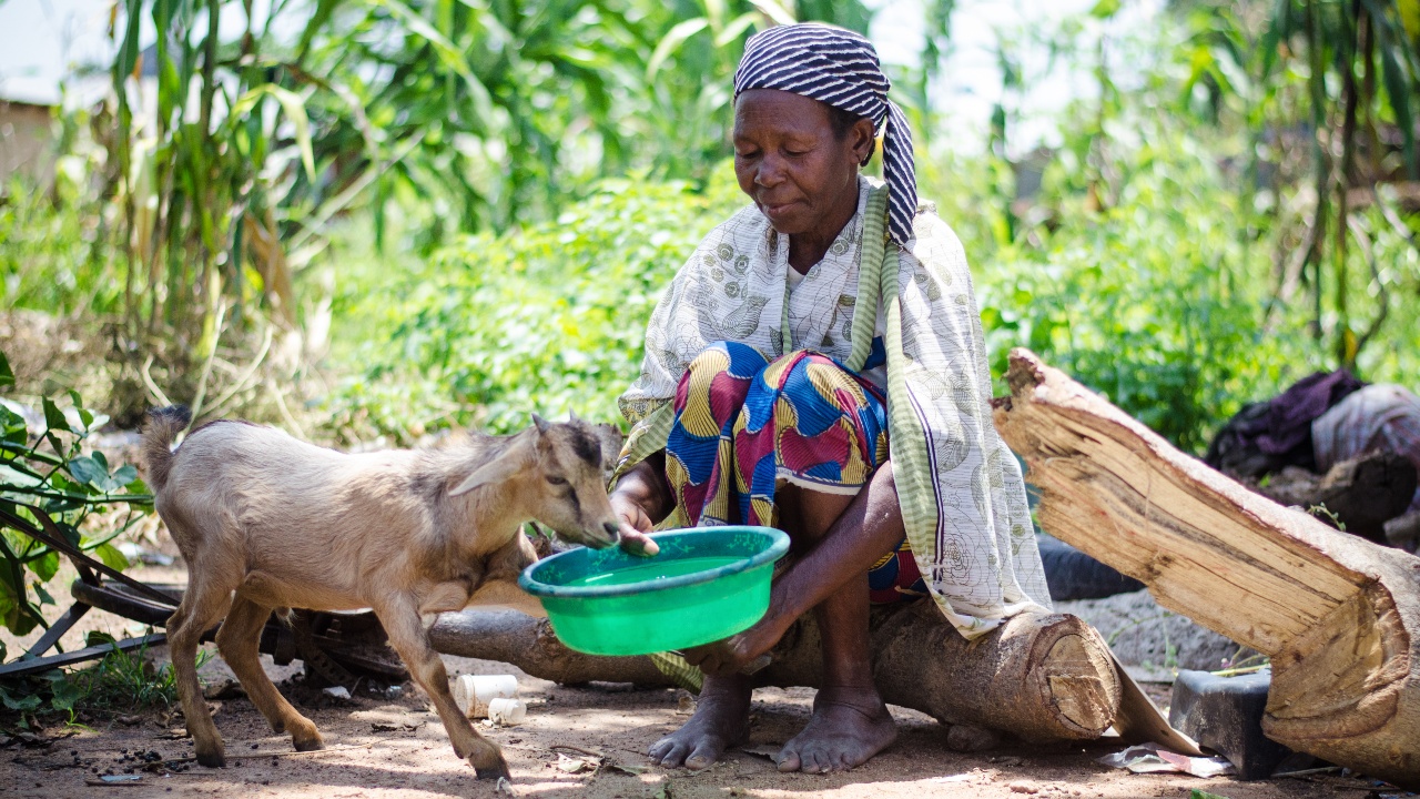 A woman in the north of Nigeria affected by poor rainfall and conflict sits on her farmland and tends to her livestock.