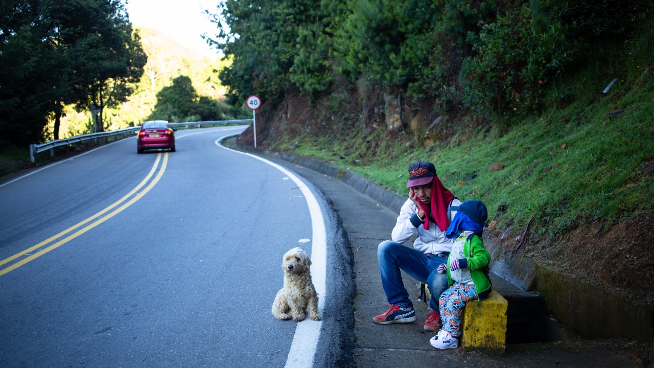 A small dog keeps Juan and his son Santiago company as they try to hitchhike through Colombia on their way to Bogota.