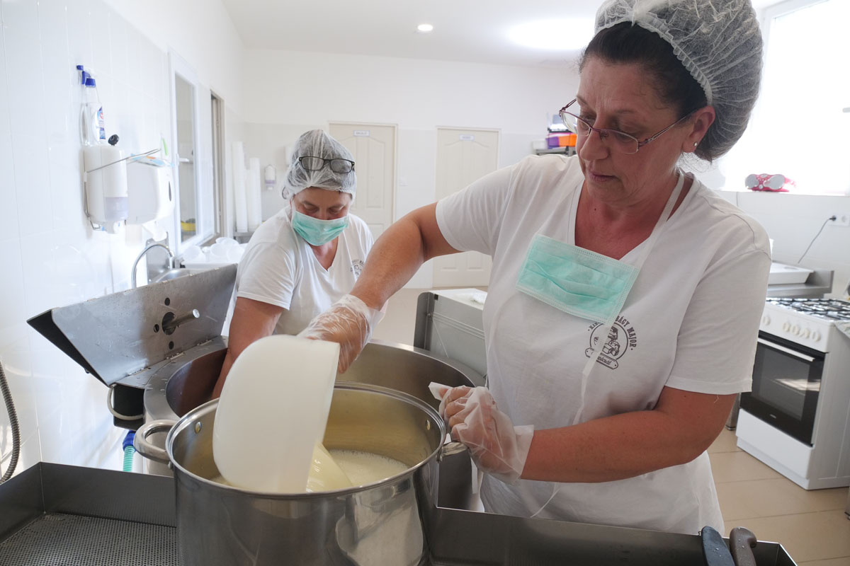 Tünde gets involved and helps to make cheese in the factory set up by the Hungarian Red Cross.