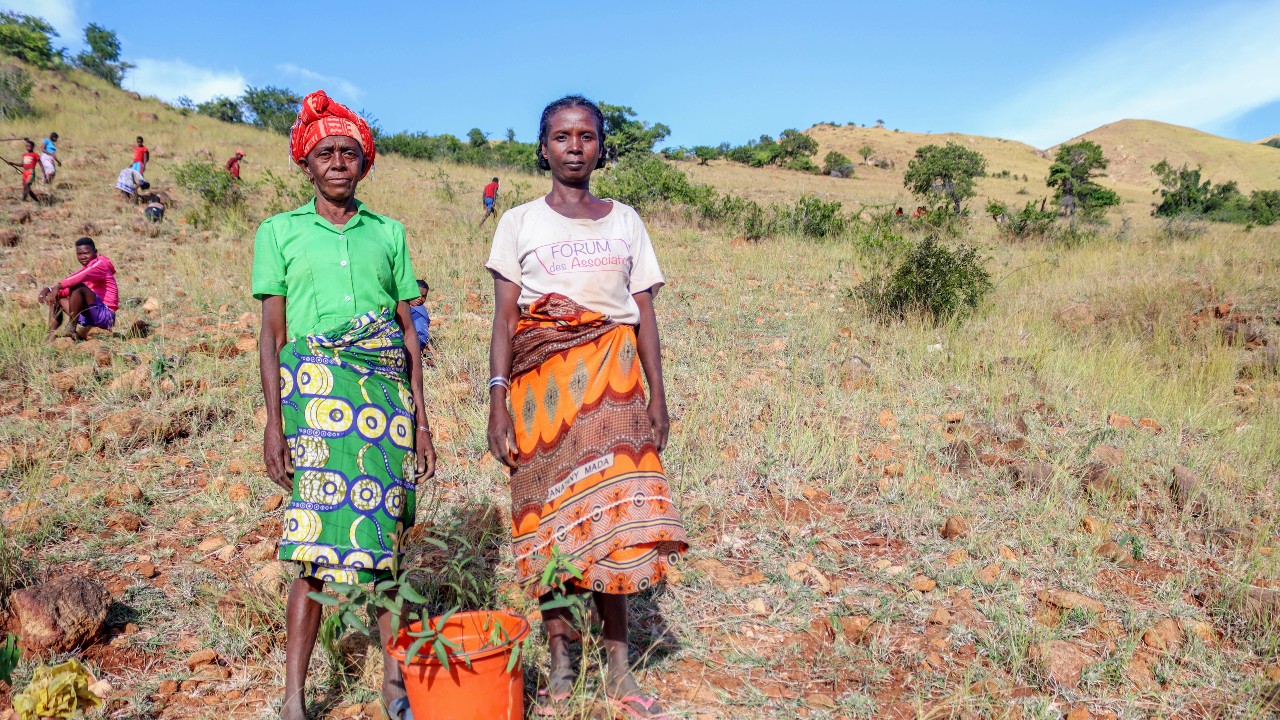 Dos mujeres del sur de Madagascar participan en un proyecto de restauración de los medios de subsistencia, que consiste en plantar árboles y huertos, dirigido por la Cruz Roja de Madagascar para ayudar a las comunidades a hacer frente a la actual sequía.
