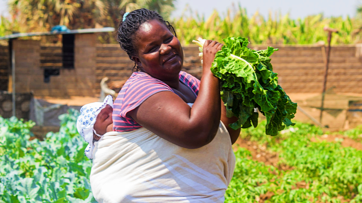 Lucky Mazangesure from Zimbabwe picks vegetables from the garden at the Chibuwe Health Clinic which she will use to prepare nutritious meals for expectant and new mothers.