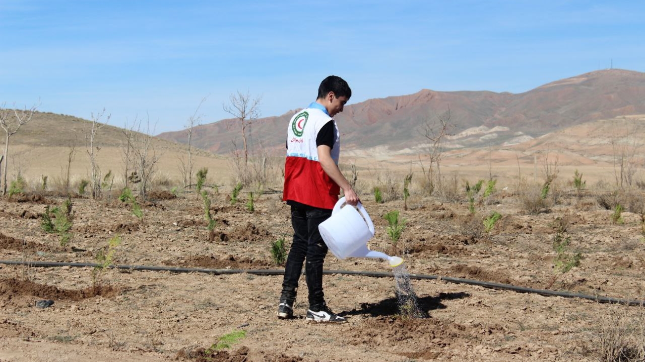 Un joven voluntario de la Media Luna Roja Iraní riega un árbol recién plantado en el marco de una campaña nacional de plantación de árboles en la primavera de 2023.
