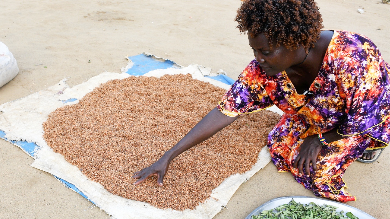 A woman in Kapoeta, South Sudan, sits on the ground and inspects her precious supply of grain in July 2023.