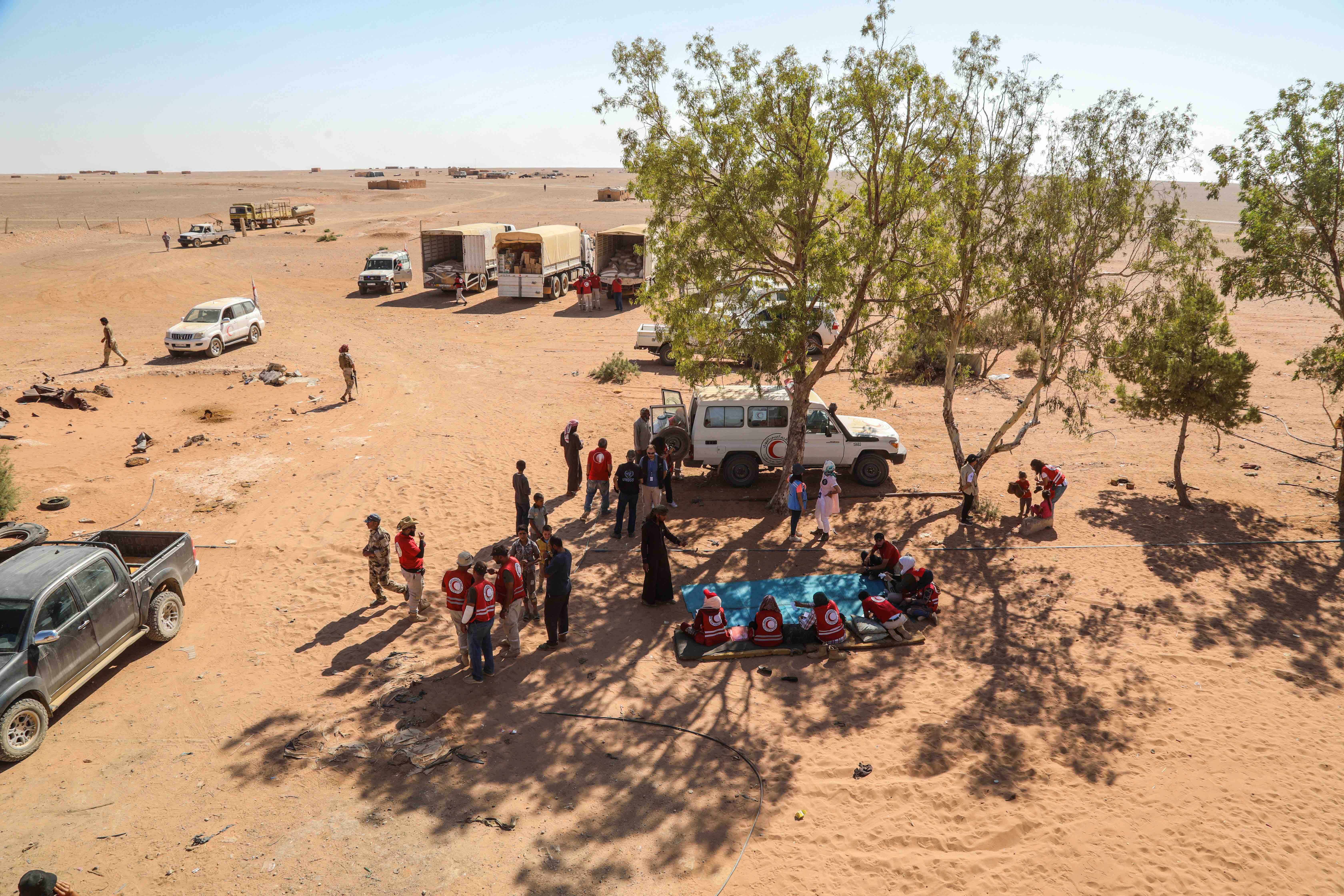 Extended drought and the aftermath of conflict put forests, crops and communities under great stress.