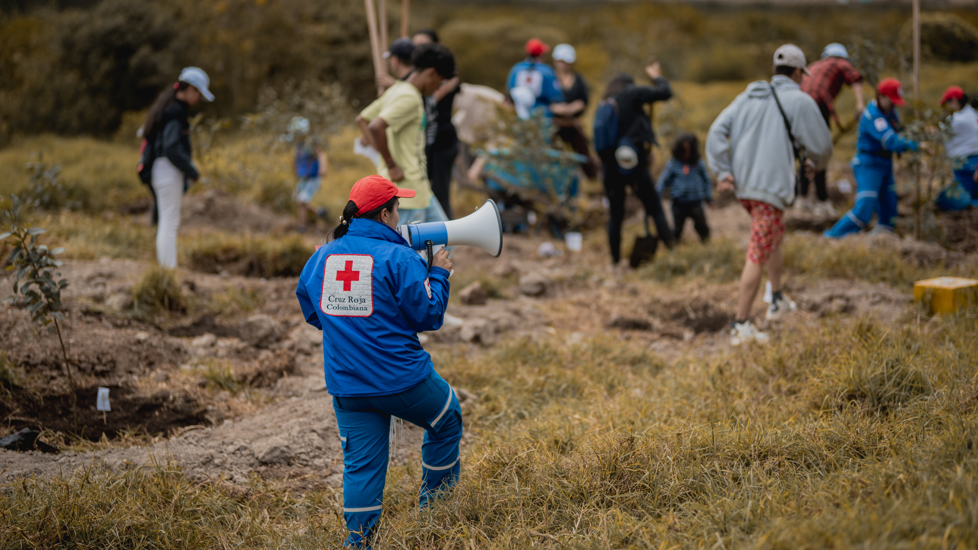 Personas voluntarias y equipos de Cruz Roja Colombiana siembran árboles en el humedal Neuta, cómo parte del Proyecto Resiliencia Ante Inundaciones, aportando a la mitigación del cambio climático.