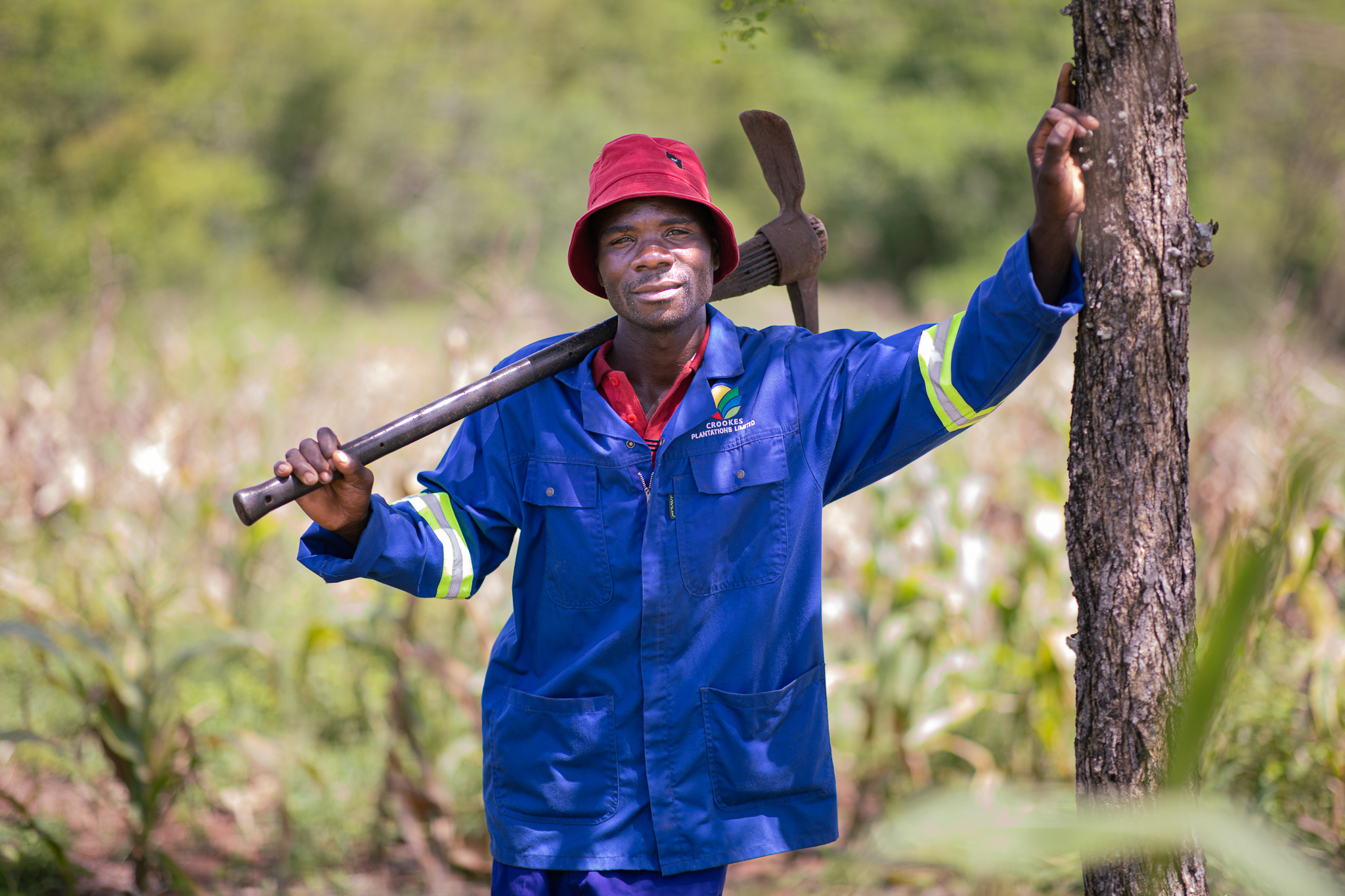 39-year-old farmer Bongani Masuku says heatwaves and drought in Eswatini have diminished his corn crops in recent years.