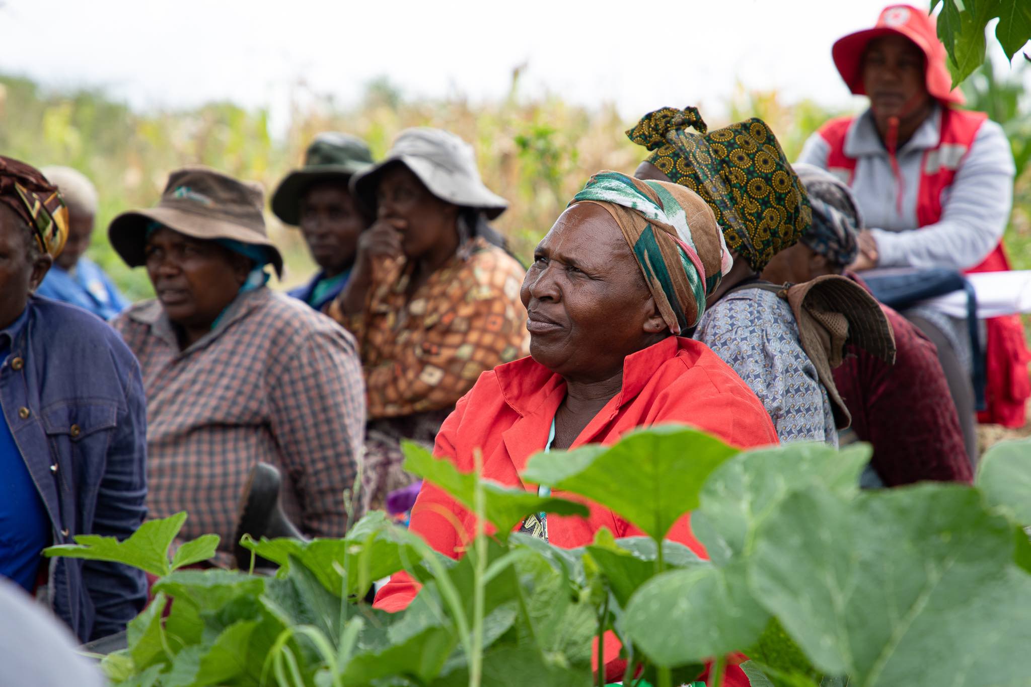 People listen to a presentation from the ministry of agriculture on how to make community gardens more productive in the face of climate change. 