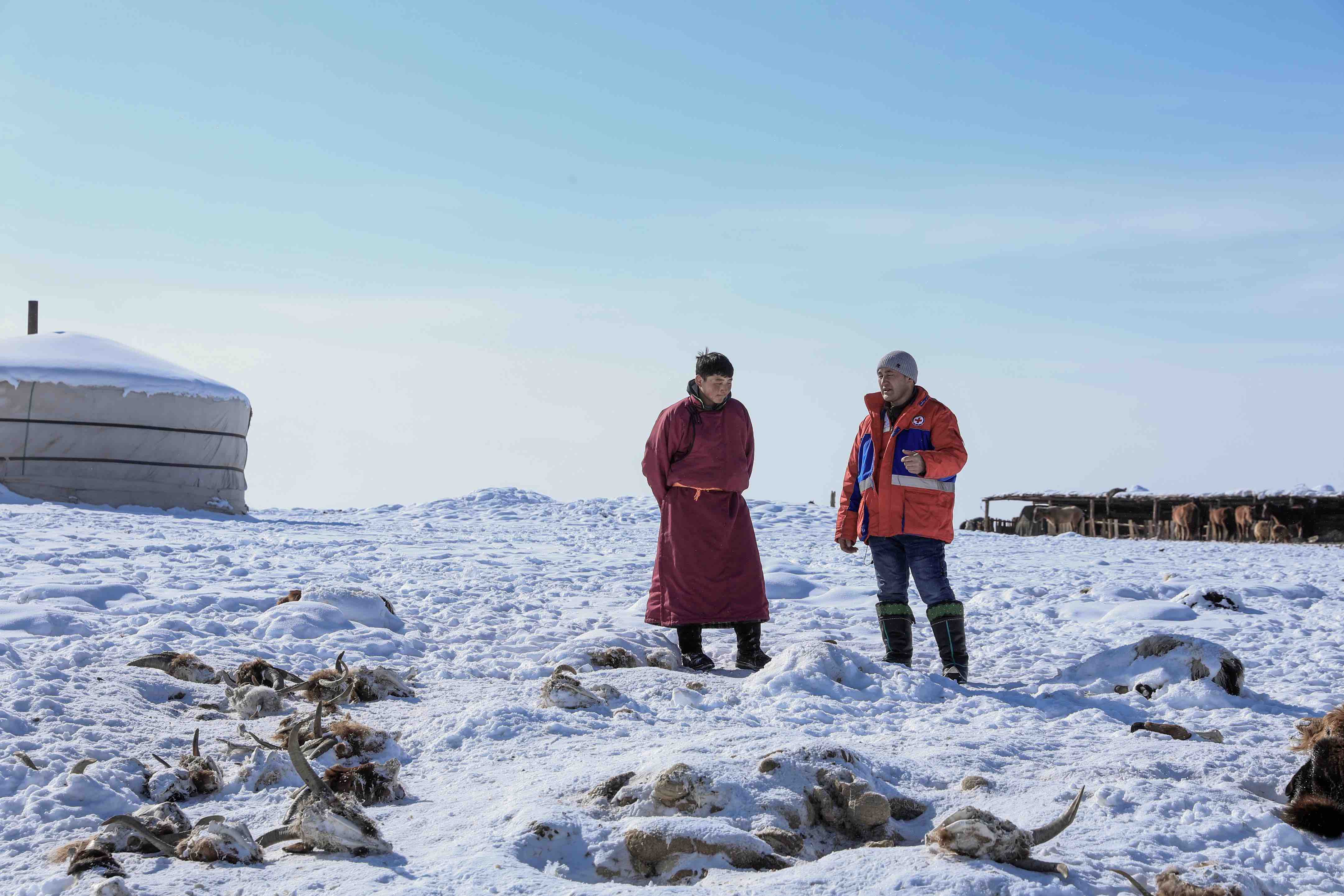 A Mongolian Red Cross staff member meets with a livestock herder whose animals died because of extreme cold.