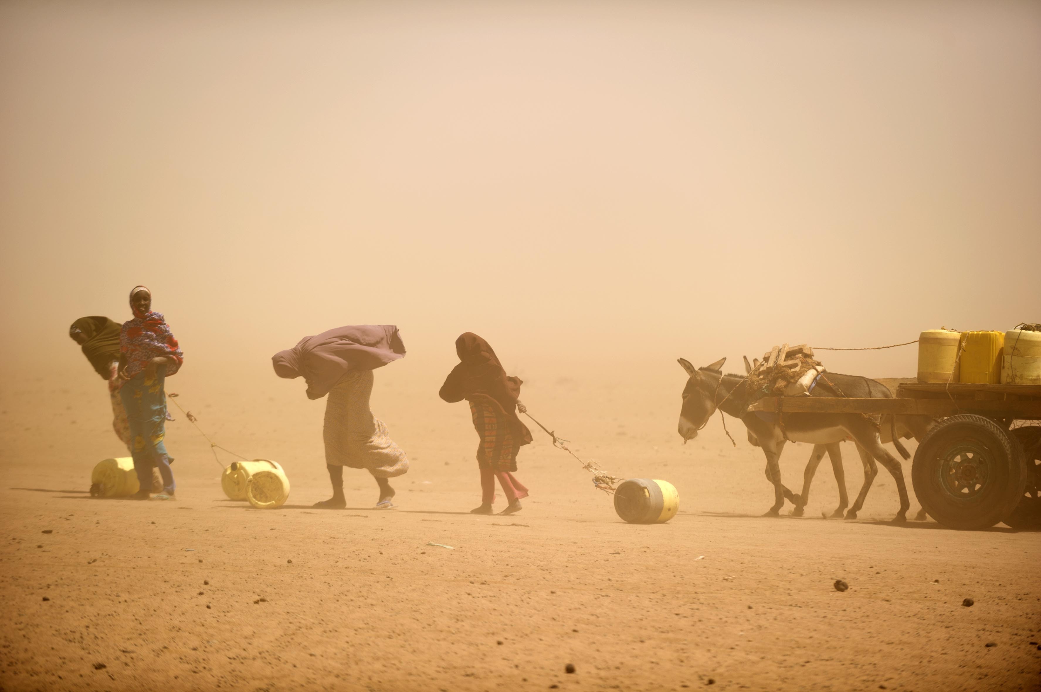 People carrying water jugs walking through a sandstorm during drought.