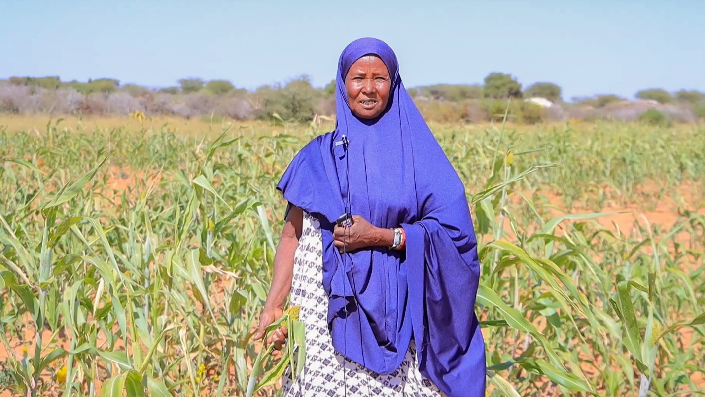 Mama Koos Yusuf Mohamed stands in a field revitalized by the SRCS Somaliland Resilience and Livelihoods Programme. Supported by the German Red Cross, the programme helps communities like Galoolay overcome drought and build a more sustainable future