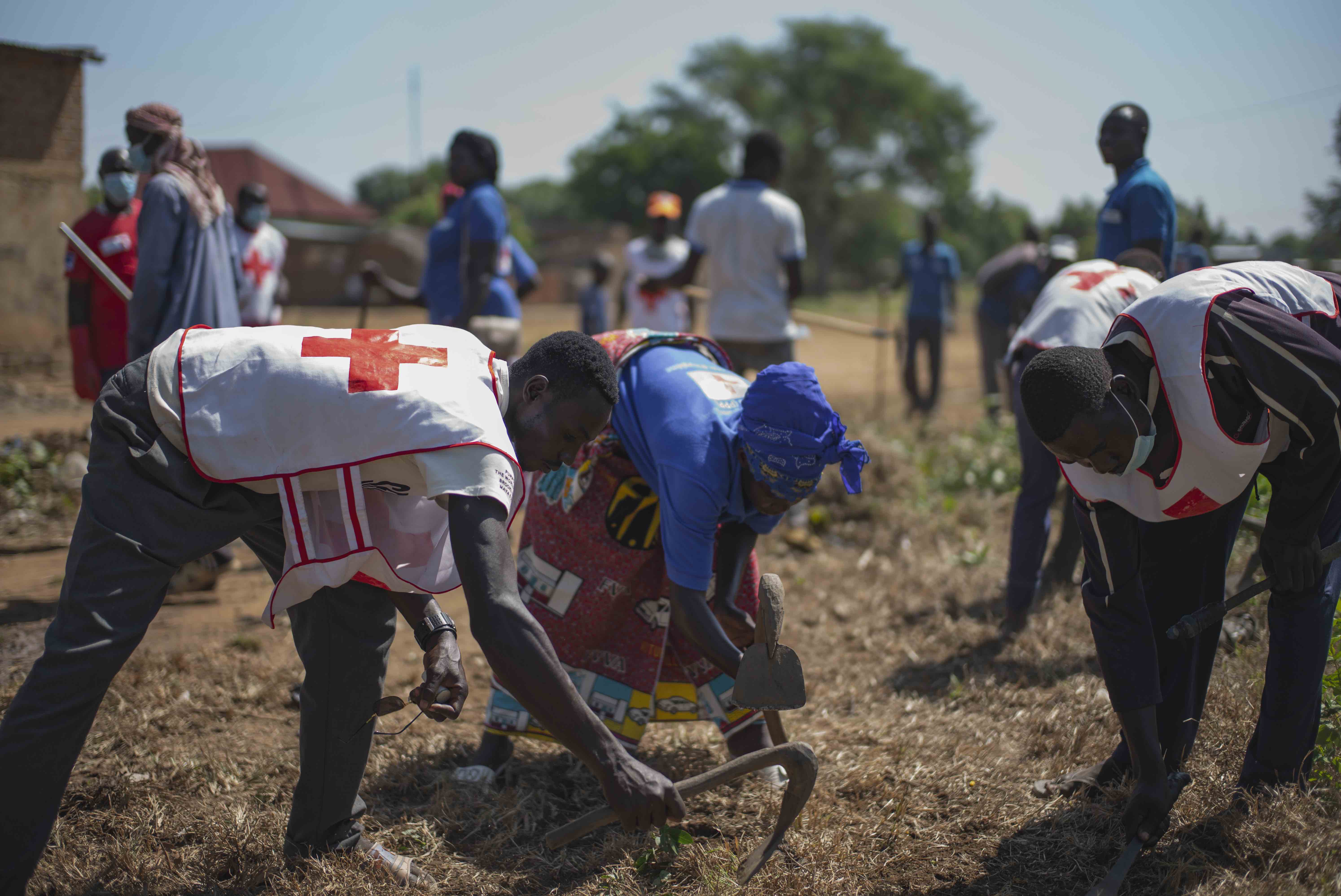Volunteers with the Chad Red Cross clean a field that has been used by people as a place to go to the bathroom.