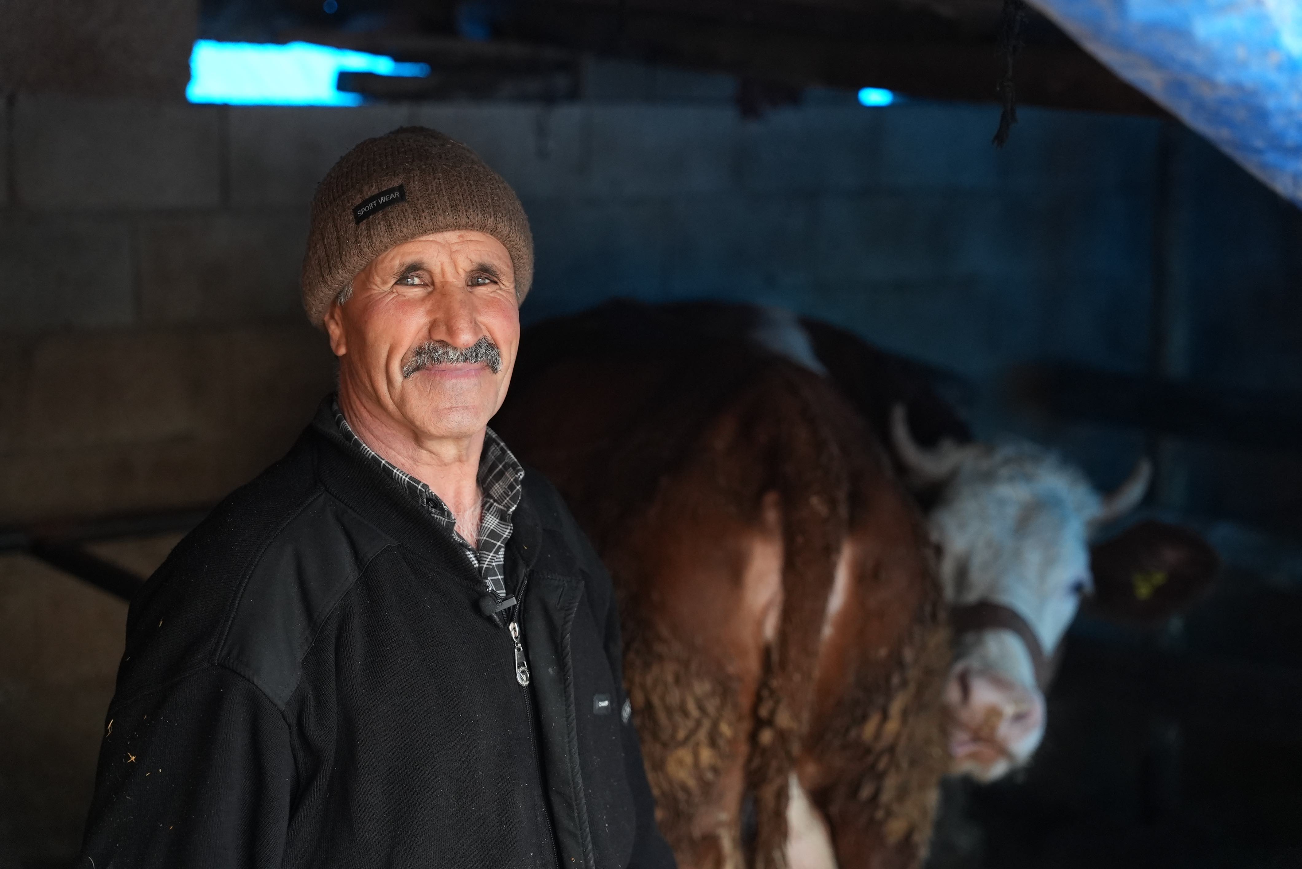 A livestock breeder, Memik Göbelek, stands inside his refurbished barn alongside his cows. Memik faced devastating losses when his house and barn were destroyed by the February 2023 earthquakes, resulting in the deaths of many of his animals. Cash support from the Turkish Red Crescent enabled him to purchase hay and feed his surviving cattle. 