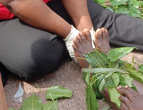Nigerian Red Cross volunteer Saratu Aboki demonstrates how to use readily available local plants to secure and stabilize an injury.