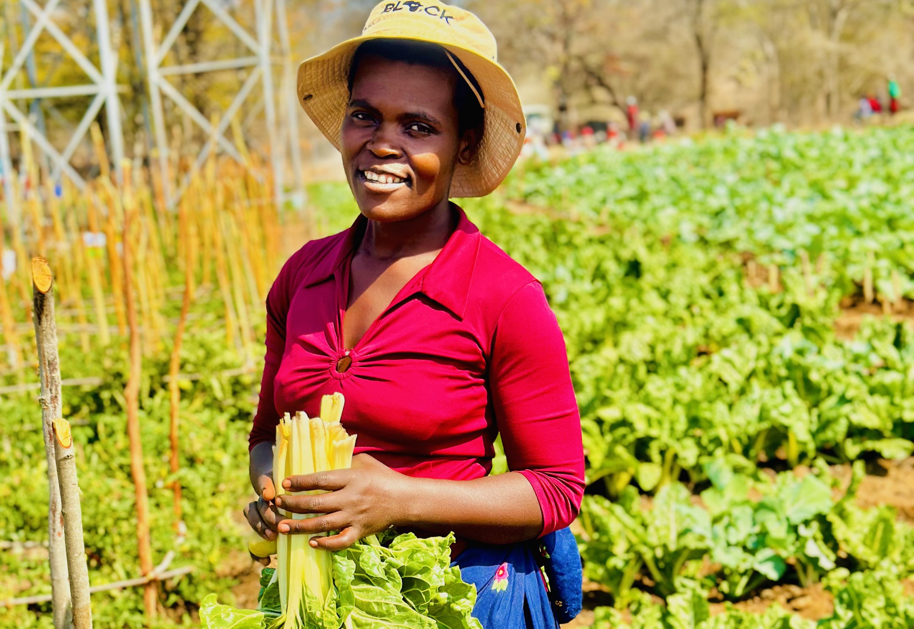 Patience Makuya of Gudomutovhoti community in Mwenezi District, Zimbabwe, stands in front of her vegetable plot in a nutrition garden made possible by a solar-powered water system supported by the IFRC and implemented by the Zimbabwe Red Cross Society.