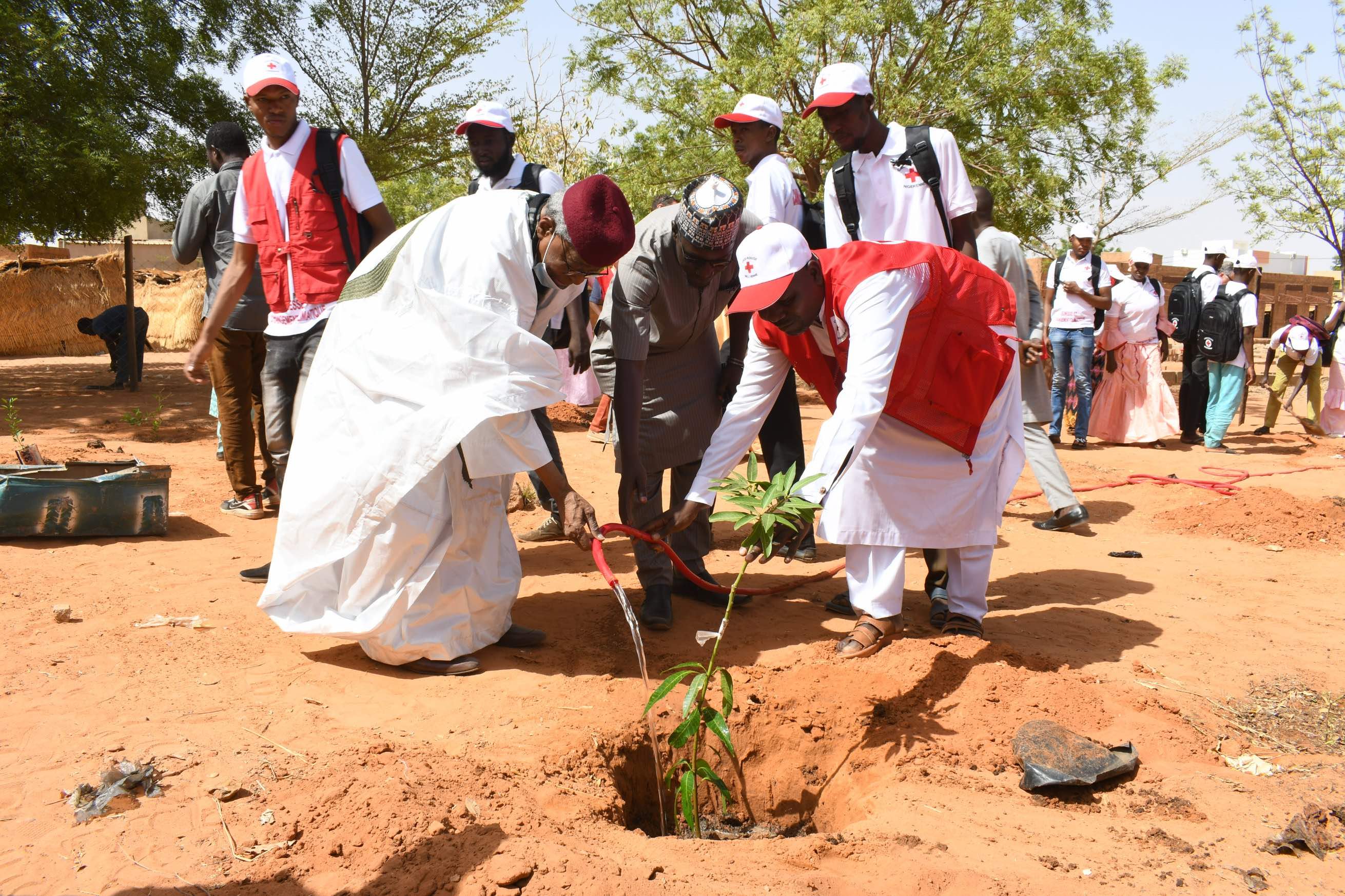 Ali Bandiaré (left), president of the Red Cross of Niger, plants a tree as part of climate-change adaptation measures the National Society is conducting around the country.