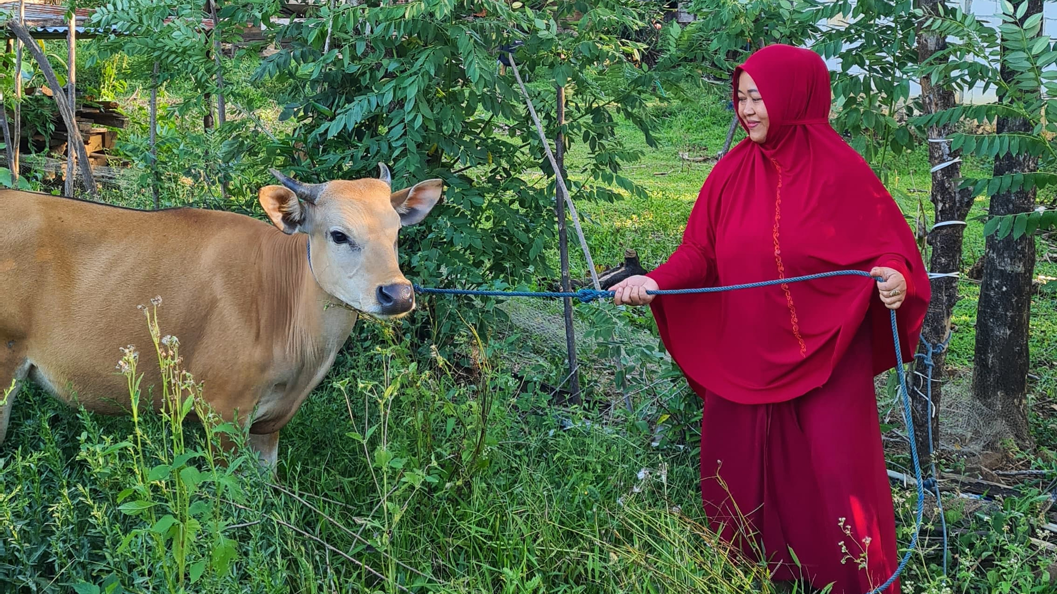 مزارعة من ماروس، إندونيسيا، تقف على أرضها مع إحدى أبقار العائلة في أغسطس/آب 2024. 