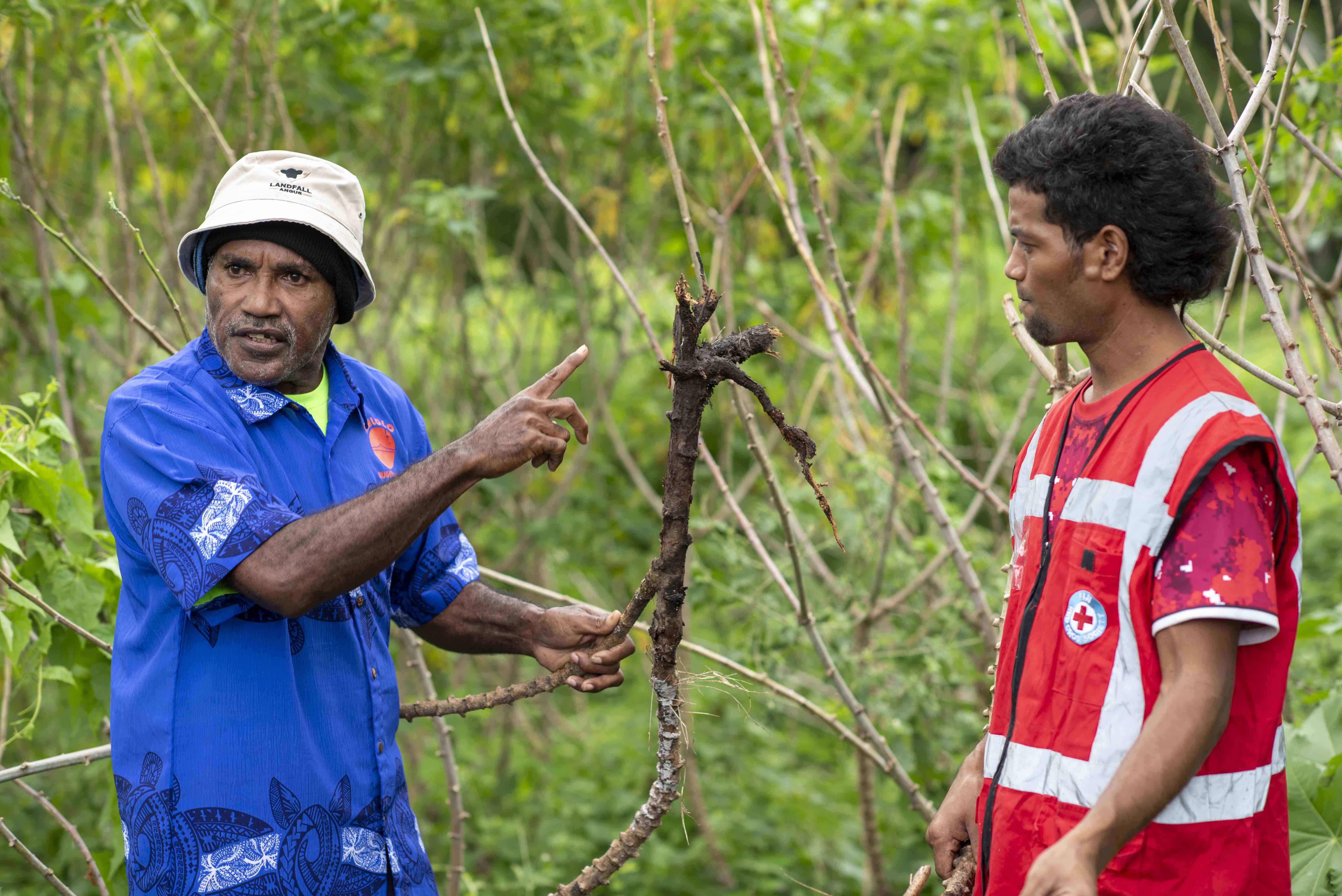 Seru Ramakita shows Fiji Red Cross volunteer Robin Kaiwalu how the incursion of saltwater on his fields due to floding have killed many of his crops. Kaiwalu’s crops were also impaced in a similar way by the floods.