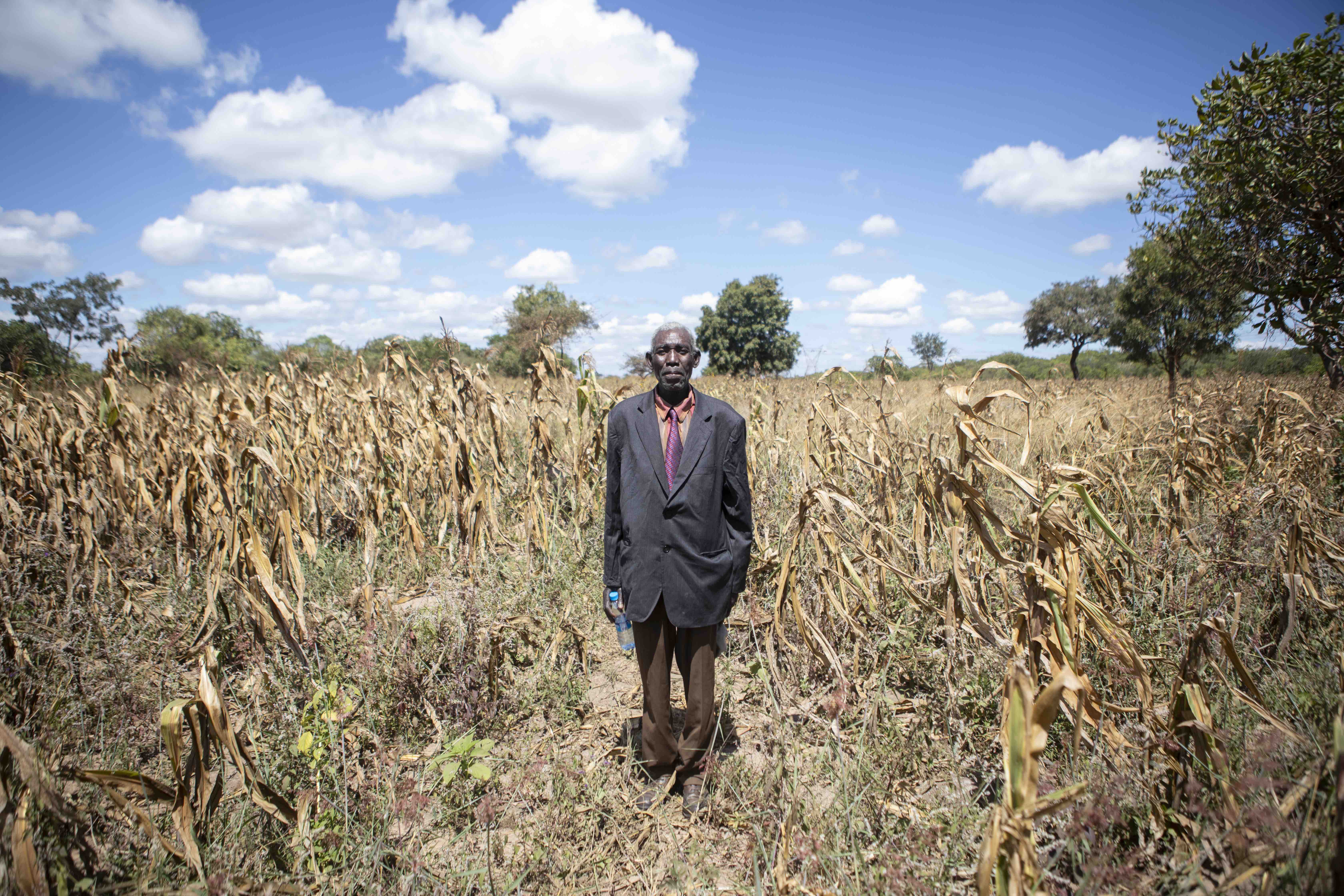 Farmer Charles Chamileche stands in the midst of a corn field that has been devastated by prolonged drought. Chamileche has lost everything due to the drought.