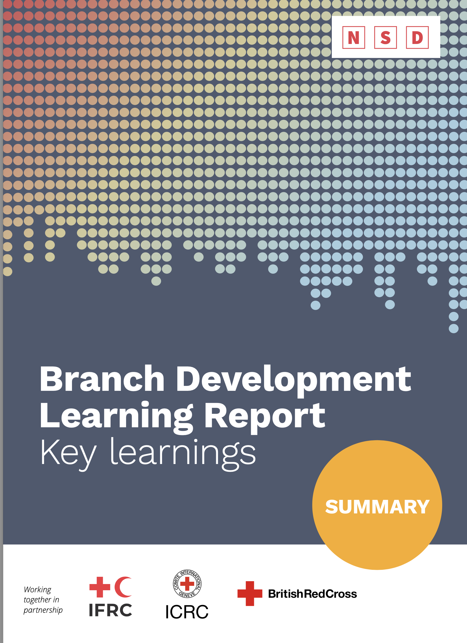 Branch Development Learning Report_Key Learnings_cover image