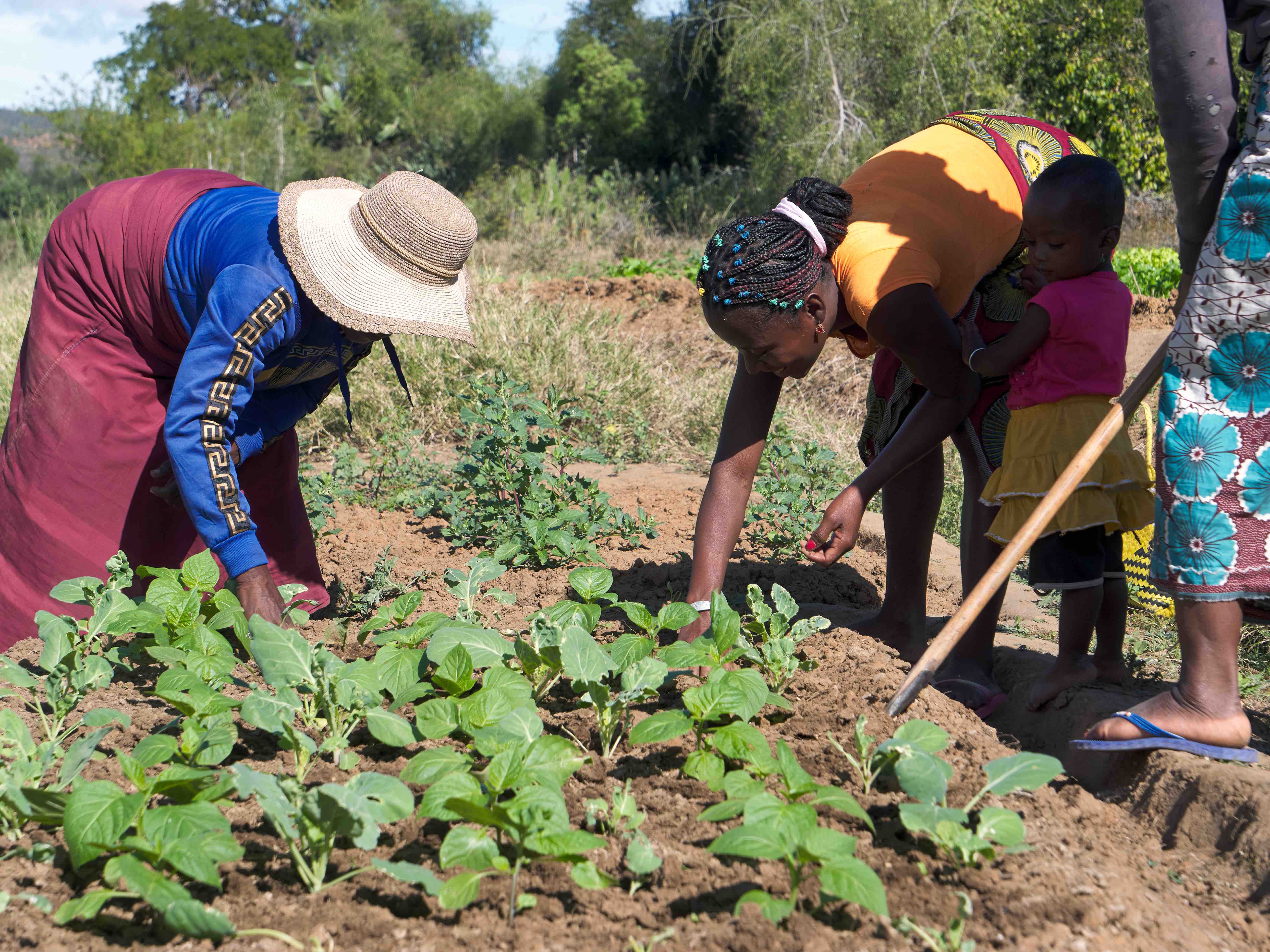 Community leaders are already working to create solutions that aren’t just practical but deeply personal.  