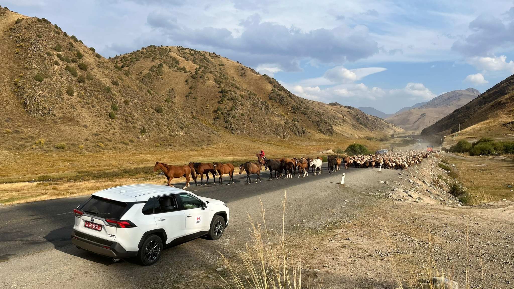 The mountainous region of Talas in northern Kyrgyzstan is at a high risk of infectious disease outbreaks due to people living in close proximity to animals, and due to healthcare access challenges.