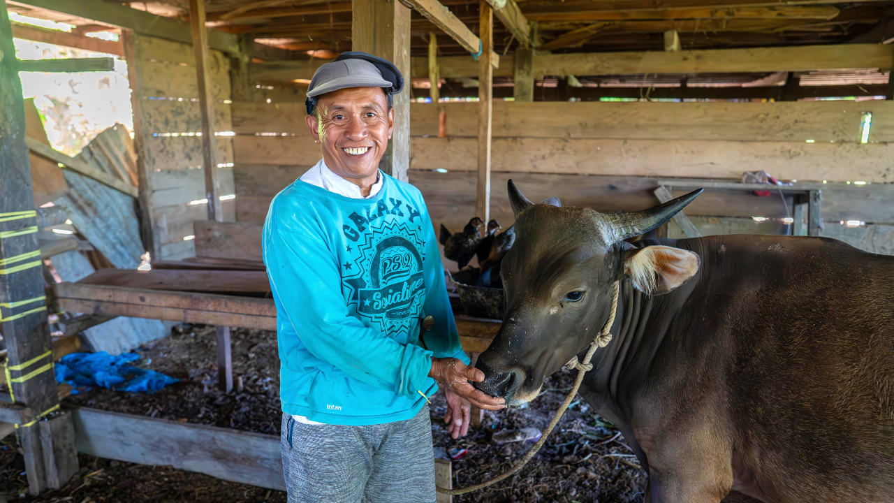 Najamuddin from Tallasa Baru hamlet in Maros, Indonesia, smiles as he proudly stands with one of his cows which is healthy thanks to support from Indonesia Red Cross.