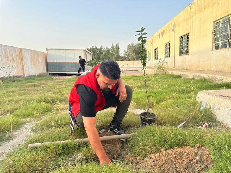 An Iraqi Red Crescent volunteer digs a hole where he will plant a tree as part of efforts to provide critical shade and protection from extreme heat.