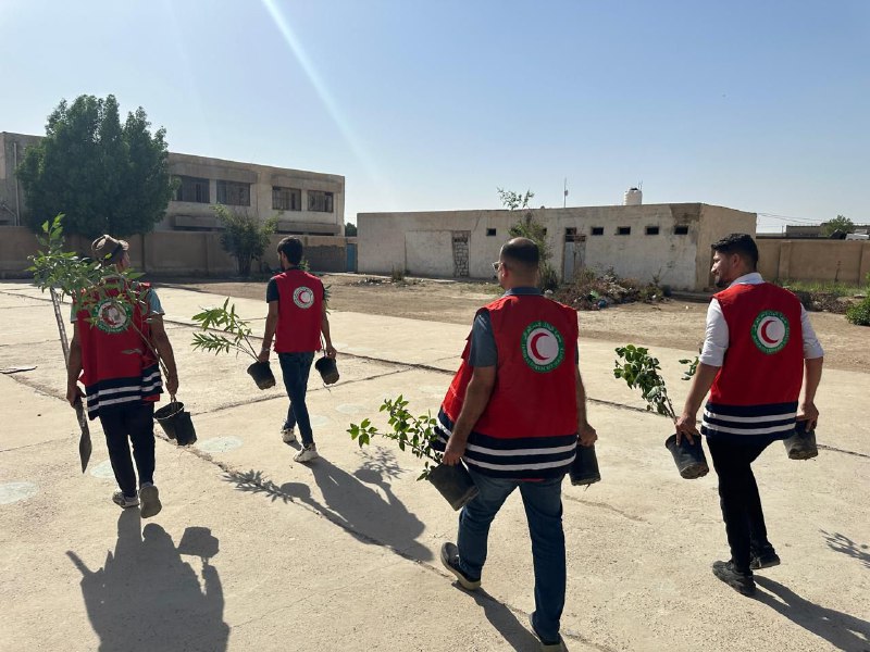 A group of Iraqi Red Crescent volunteers carry potted tree saplings as they head out to plant trees that will provide critical shade and help cool down stifling city streets.