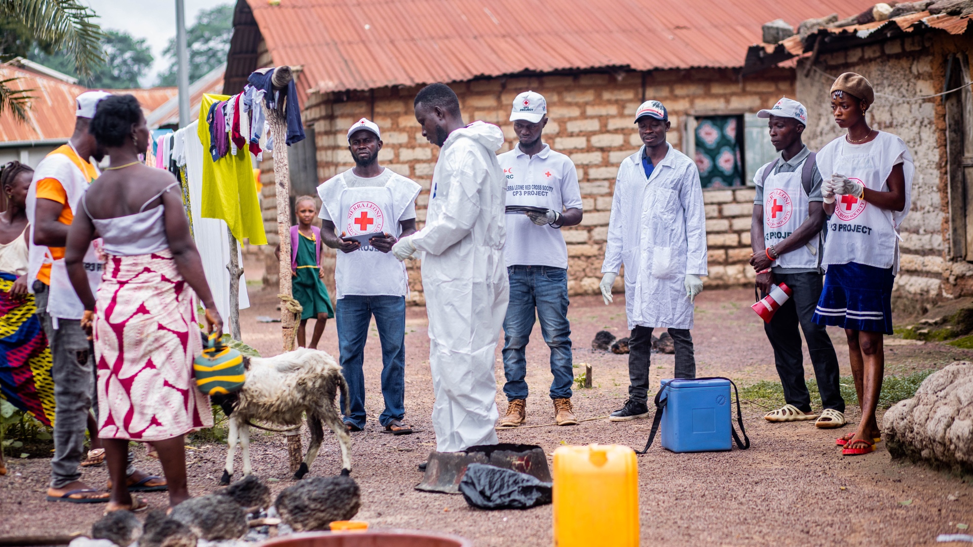 Sierra Leone Red Cross Society volunteers trained through the CP3 programme share vital information about PPR with famers in Kamasasa village, encouraging them to isolate sick animals and get their goats and sheep vaccinated.