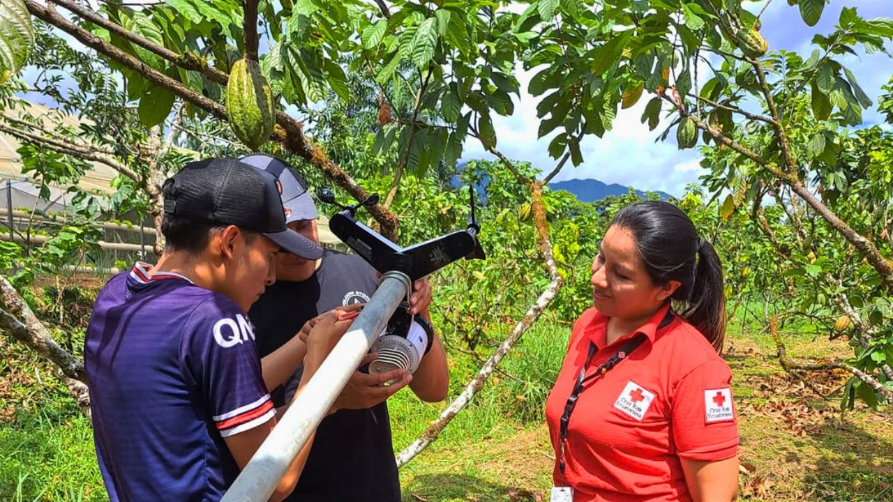 Two cocoa producers install the Early Warning System  ‘SATHEOBROMA’, with the help of an Ecuadorian Red Cross volunteer.