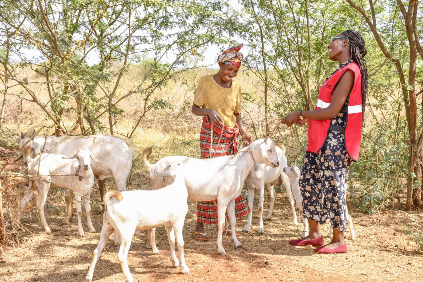Surrounded by goats she bred thanks to a Kenya Red Cross food-security programme, a farmer from Mtakuja Village named Margaret (left) speaks with a Red Cross volunteer involved in the project.