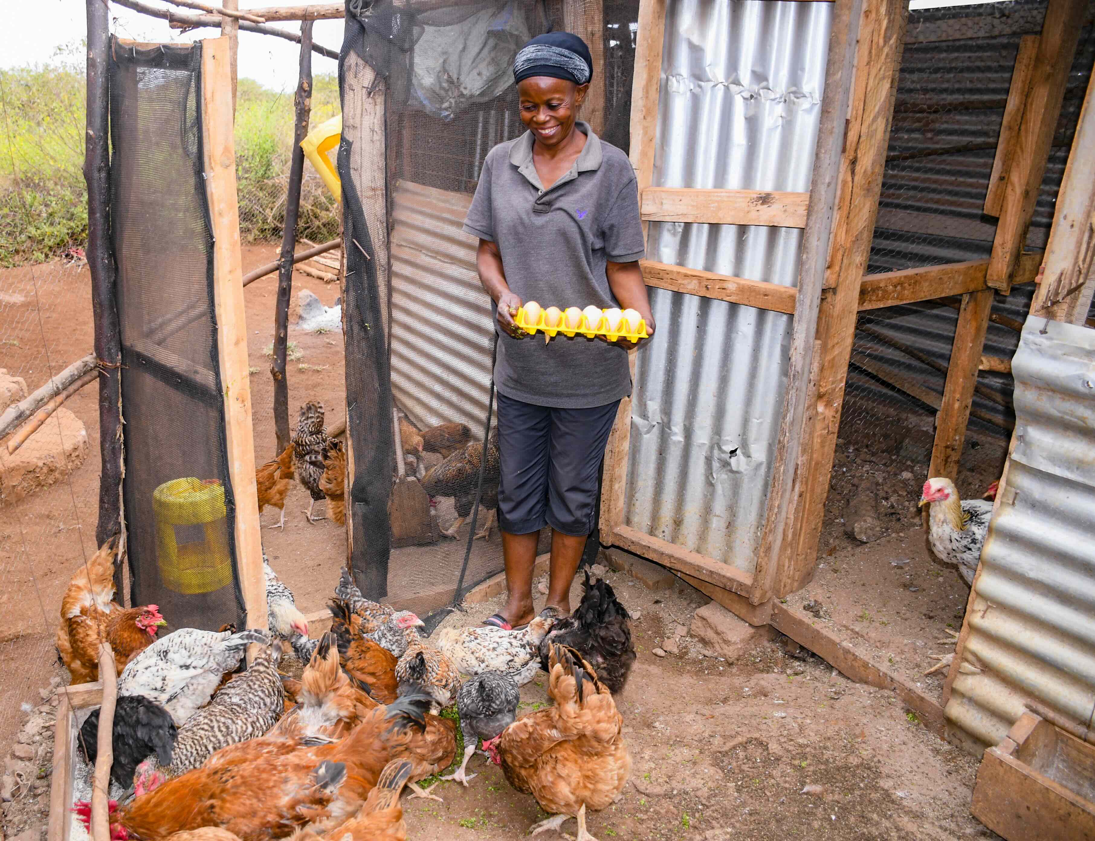 A woman in Taita Taveta, Kenya, proudly holds a tray of fresh eggs as her chickens roam nearby.