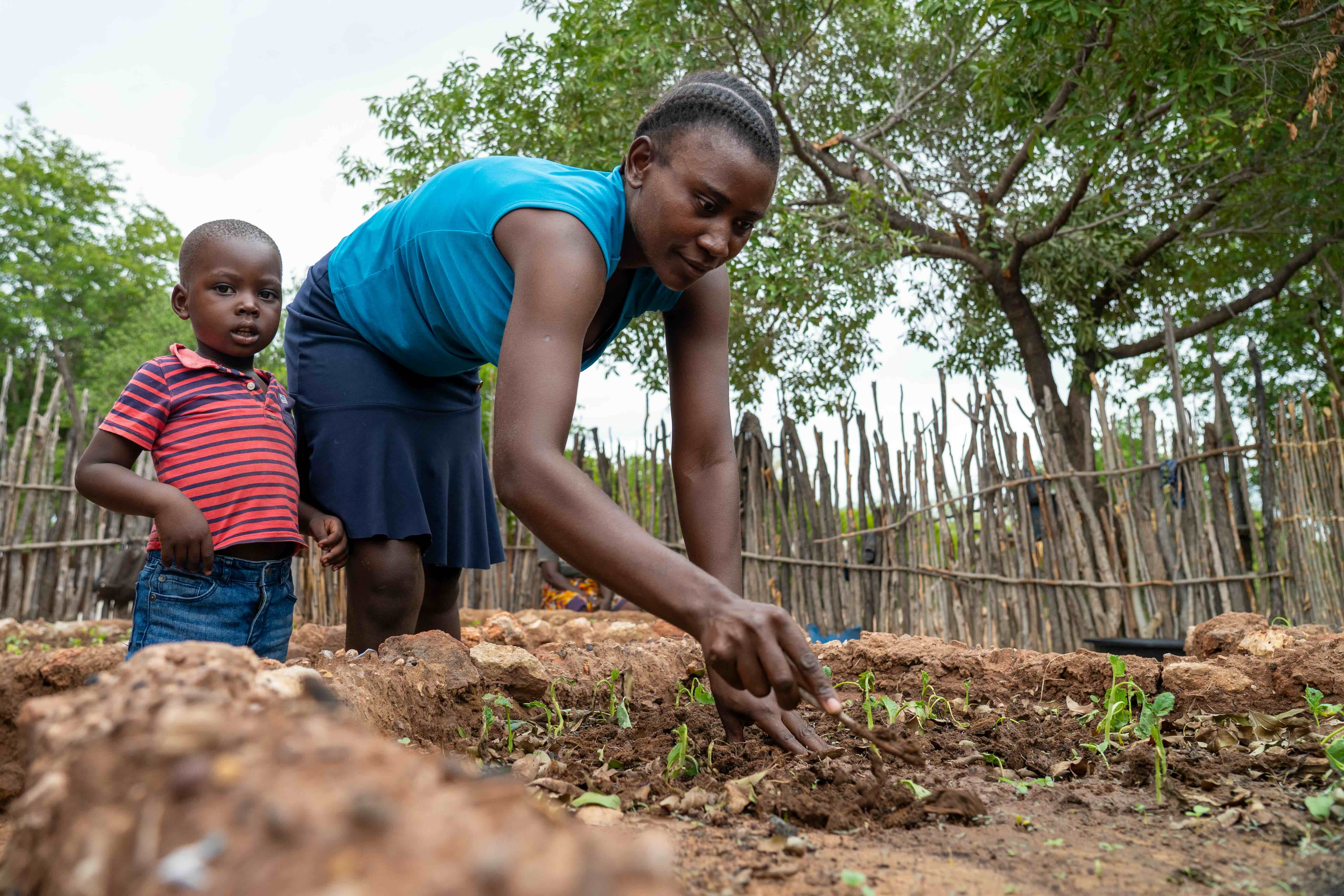 A mother and child in Binga, Zimbabwe tend to a garden using drought resistant planting techniques.