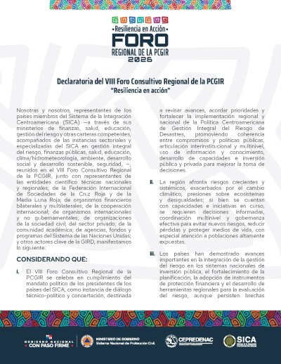 Declaracion VIII Foro Consultivo - Final.pdf
