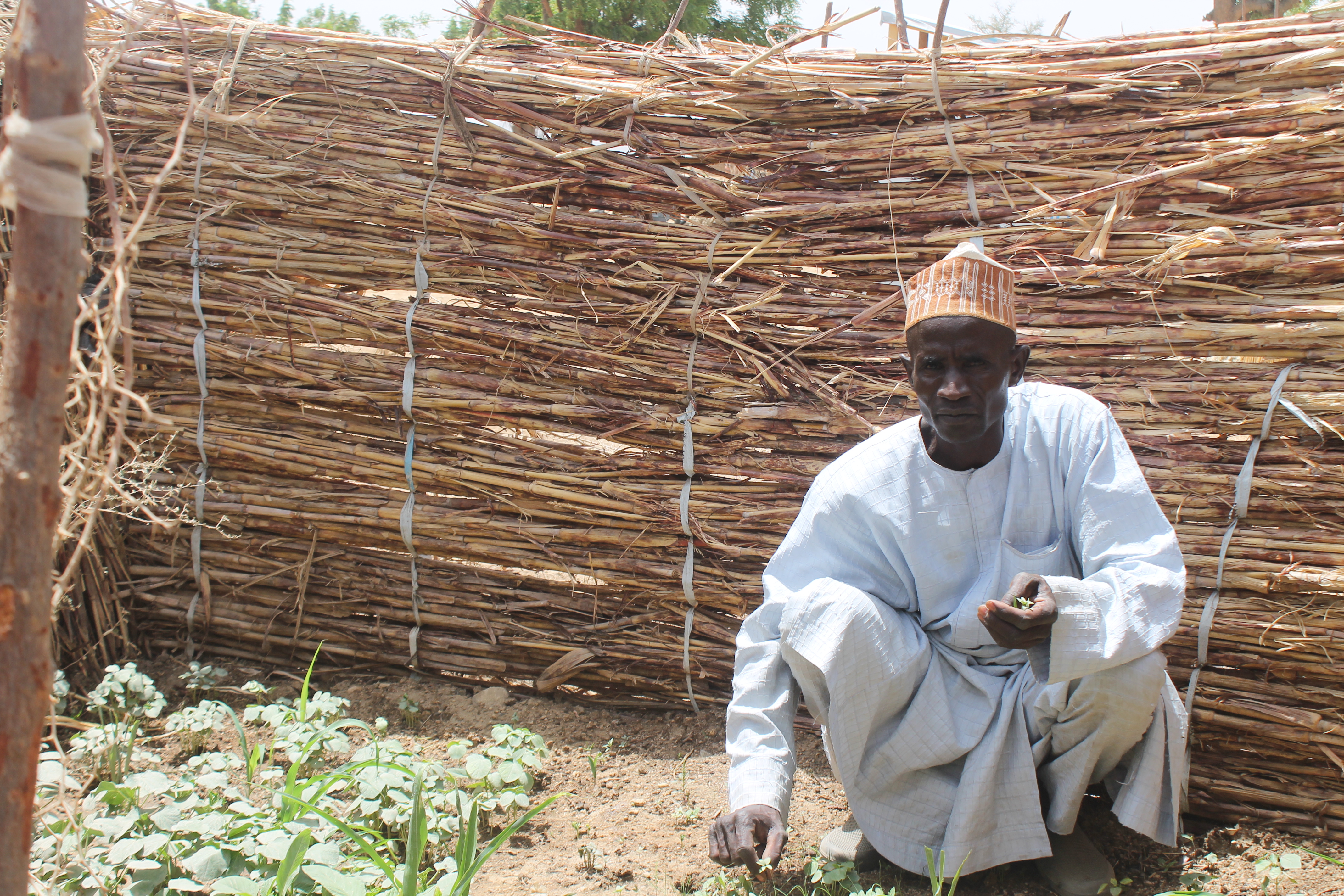 Sherif Moussari  originates from the Mayo Mouskota village in the Far north region of Cameroon. His village and many others along the border between Cameroon and Nigeria have  for the past years witne