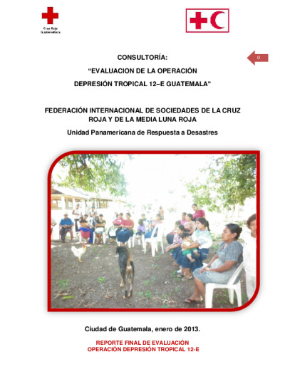 Reporte Evaluación DT-12E Guatemala.pdf