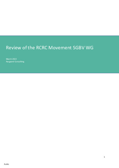 Review of the SGBV WG - final report - 07 April 2022.pdf