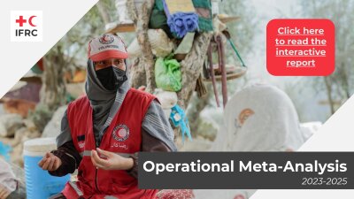 FINAL_Meta-Analysis Findings 2025.pdf