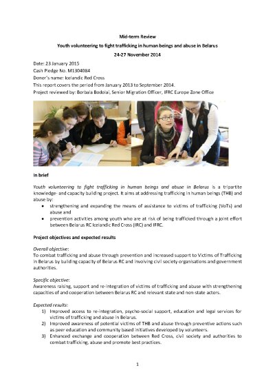 Final Report - Youth volunteering midterm review.pdf
