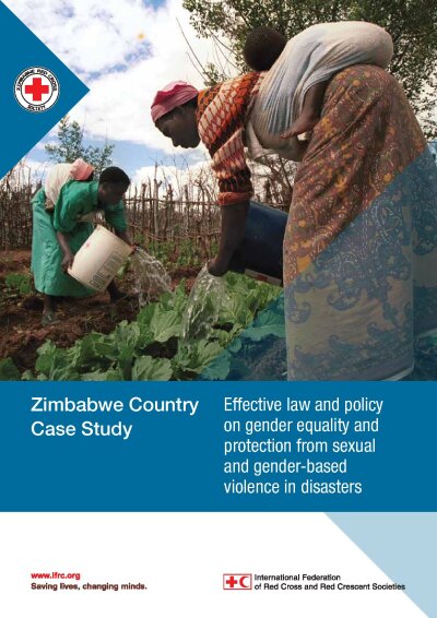 Gender SGBV Report_ Zimbabwe LR.pdf