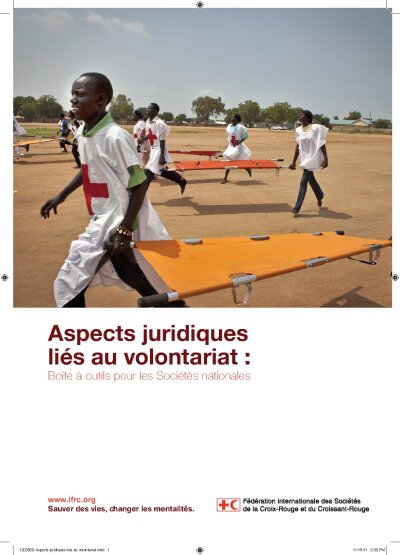 GlobalLegalissuesvoltoolkitfr12.pdf