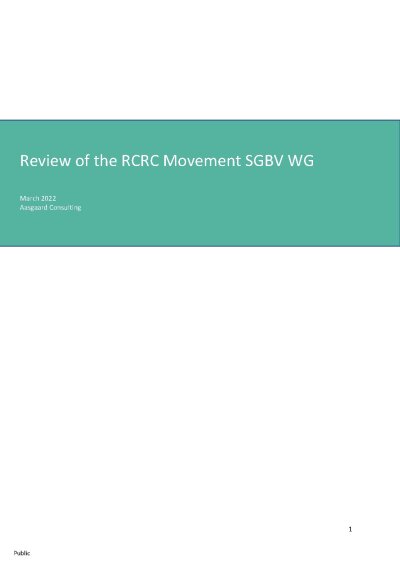 Review of the SGBV WG - final report - 07 April 2022.pdf