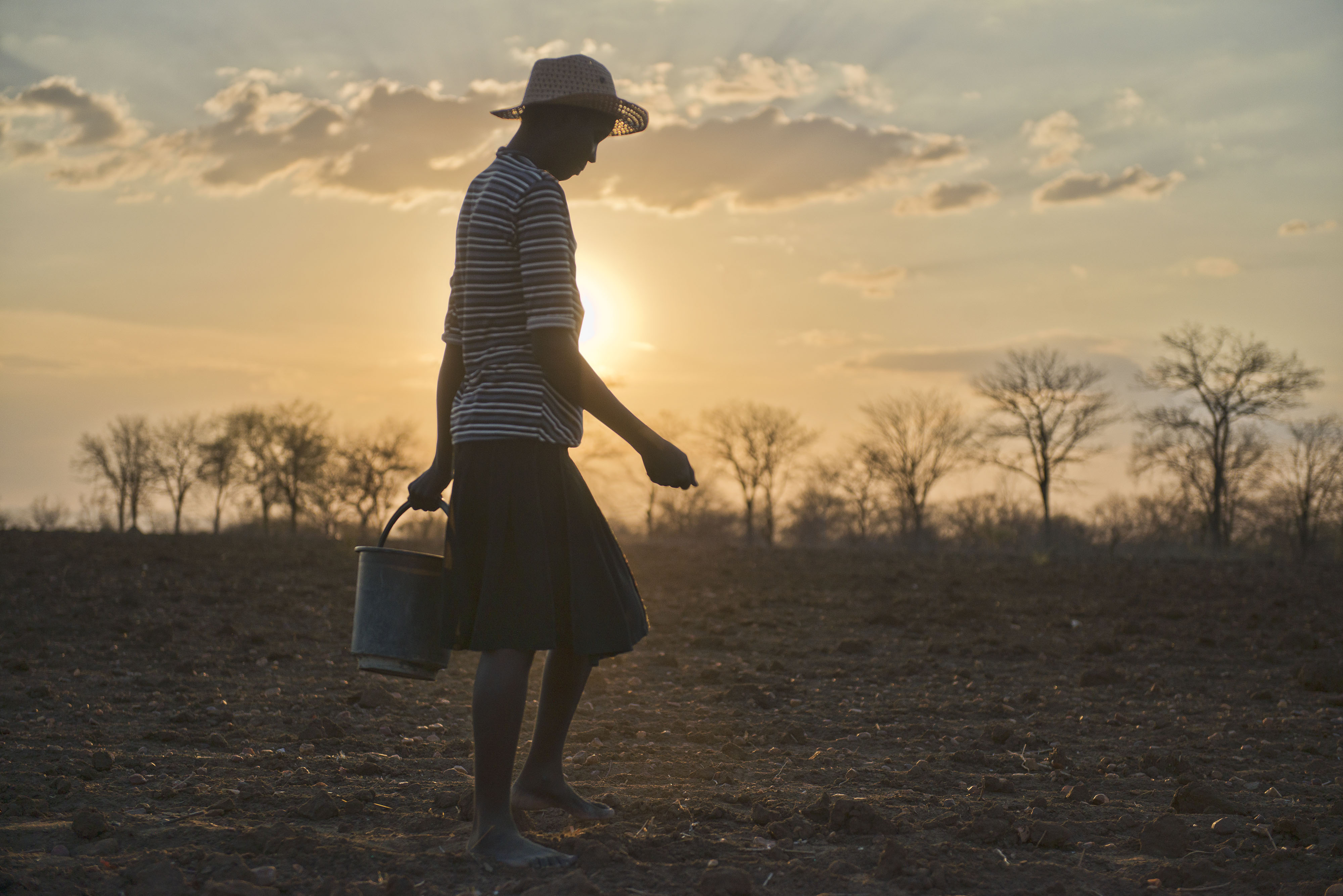 A woman plants seeds in a field in Muzurabani Province in Zimbabwe. The Zimbabwe Red Cross has been distributing sorghum seeds to people in need as the rainy season aproaches following a dought that d