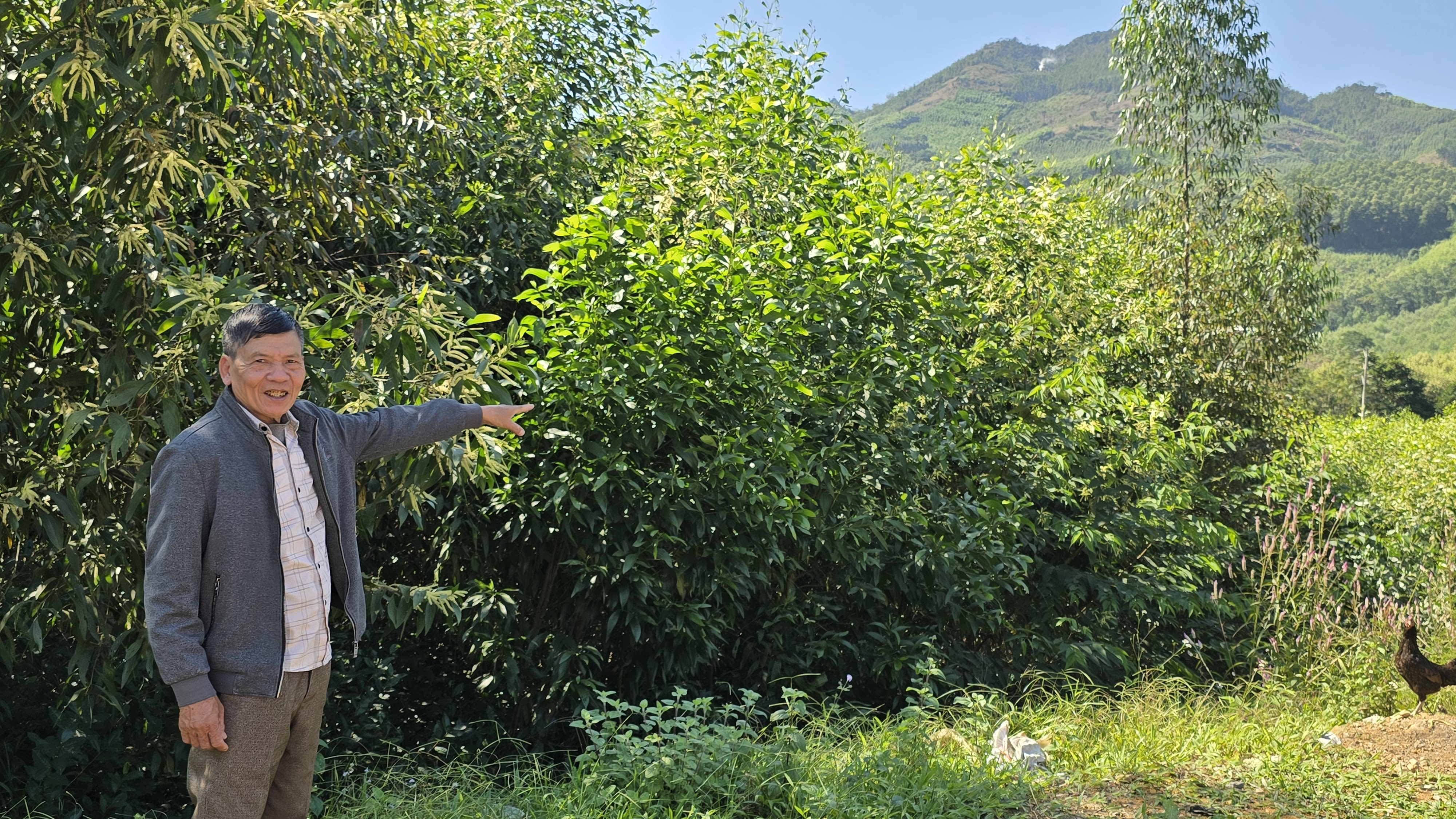 A community leader points to the mountainous, remote communes heavily affected by the floods.&nbsp;Photo credit:&nbsp;Kwanta&nbsp;Norkum, IFRC