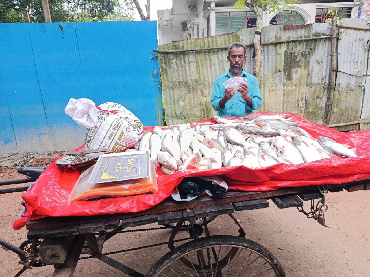 A local fish seller stands in front of his display of fresh fish. The man used a cash grant from the flood response operation to create a new small fish selling business. Photo: Bangladesh Red Crescent 