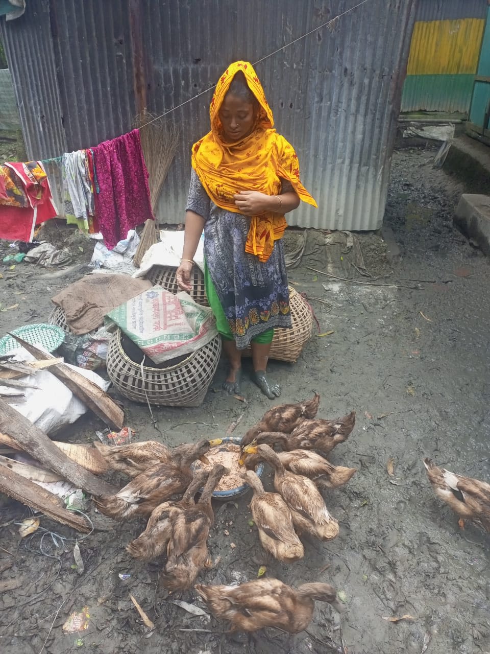 A journey to recovery: A story of homes, family, livelihoods and hope ...