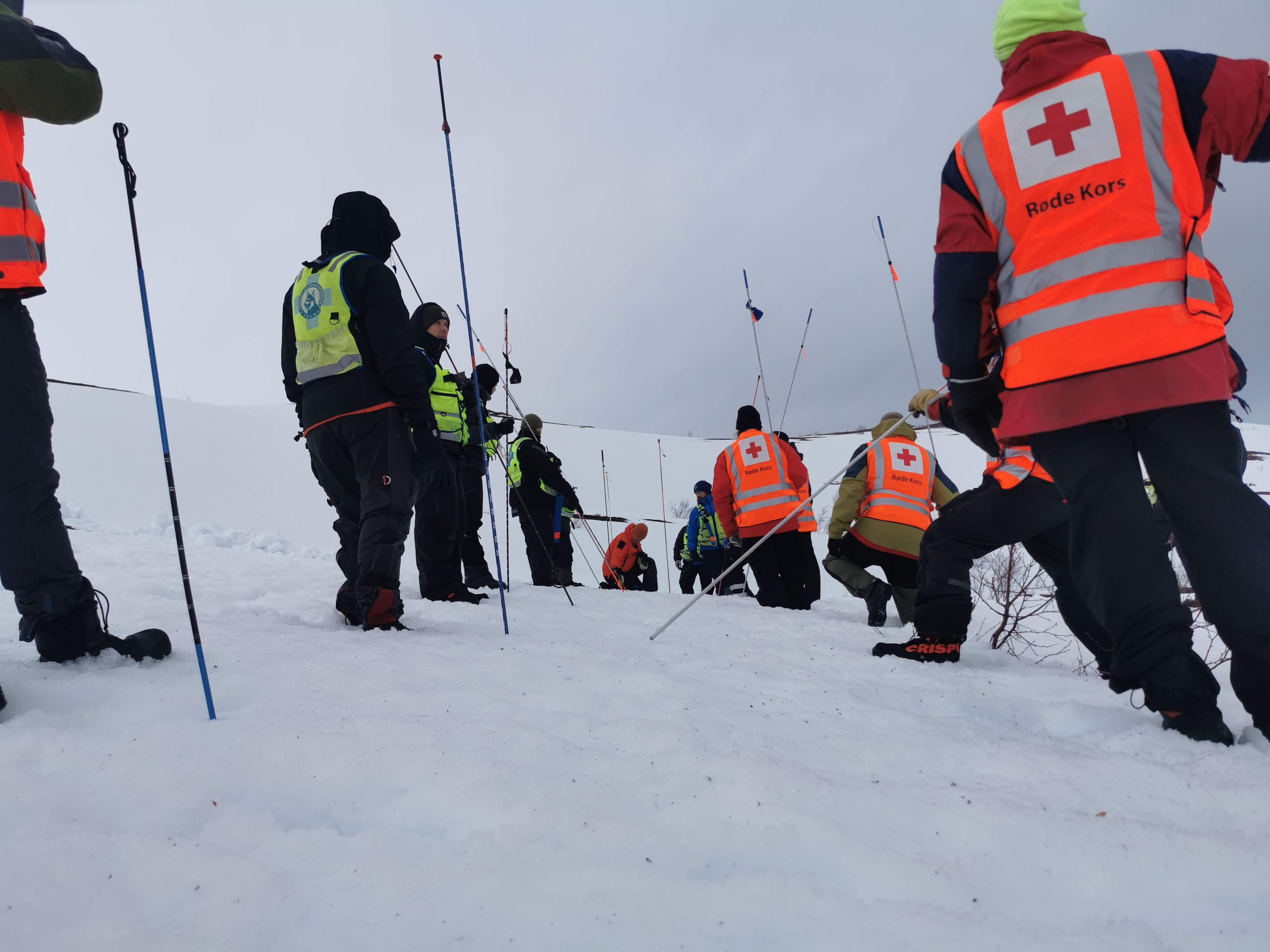 Crews from the Red Cross and Norwegian Rescue Dogs train together for searches in avalanche. Photo: Judith Fjeldberg/Norwegian Red Cross